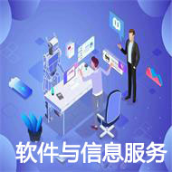 软件与信息服务